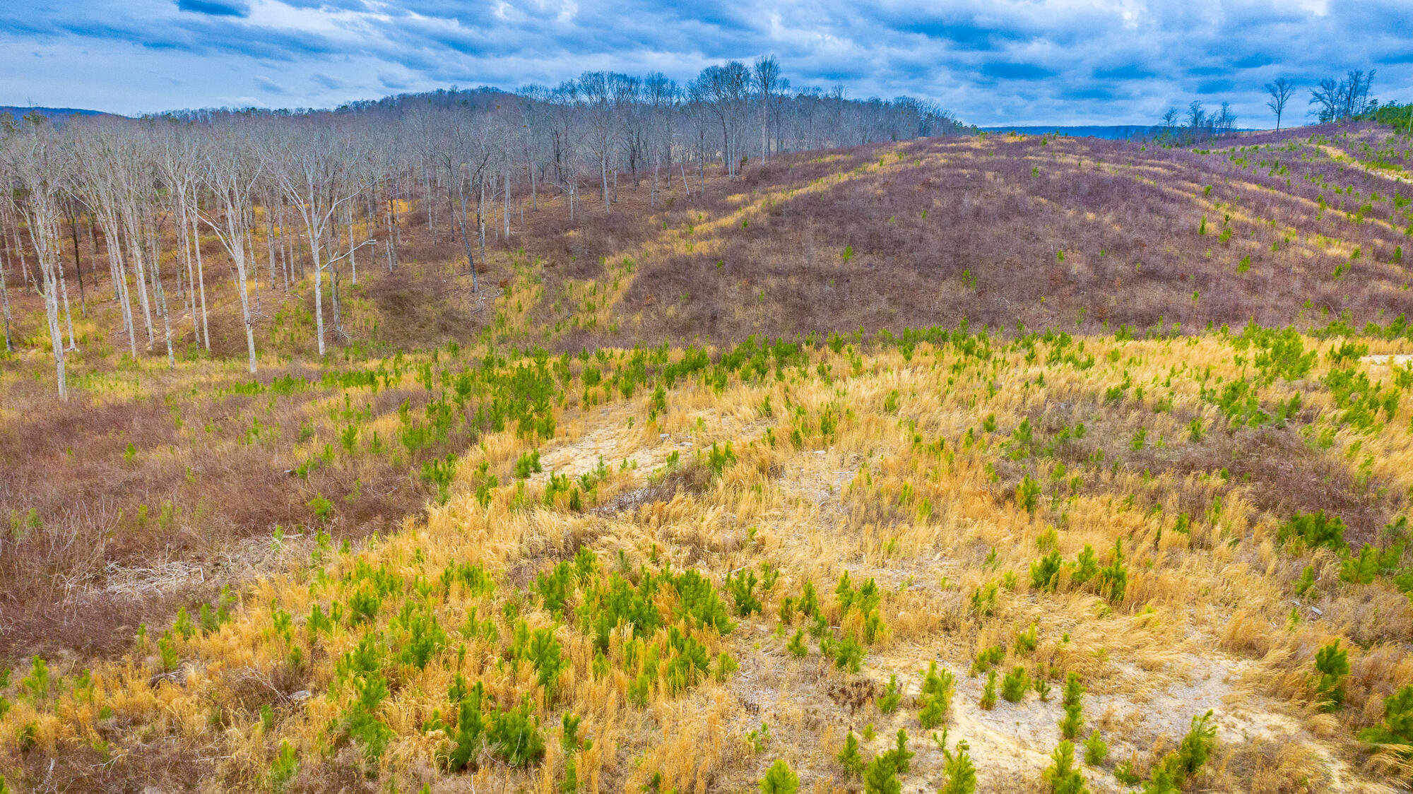 0 Nellie Lane Trion, GA 30753 - Photo 2 of 6 Nellie Lane Lot Exterior HD-0473