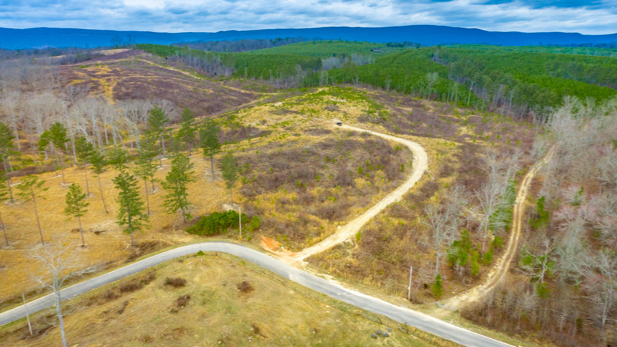 0 Nellie Lane Trion, GA 30753 - Photo 3 of 6 Nellie Lane Lot Exterior HD-0476