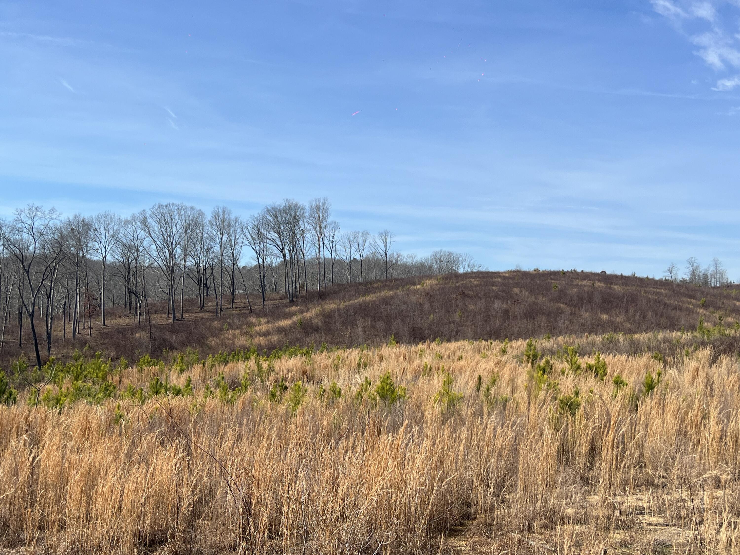 0 Nellie Lane Trion, GA 30753 - Photo 4 of 6 IMG_2150