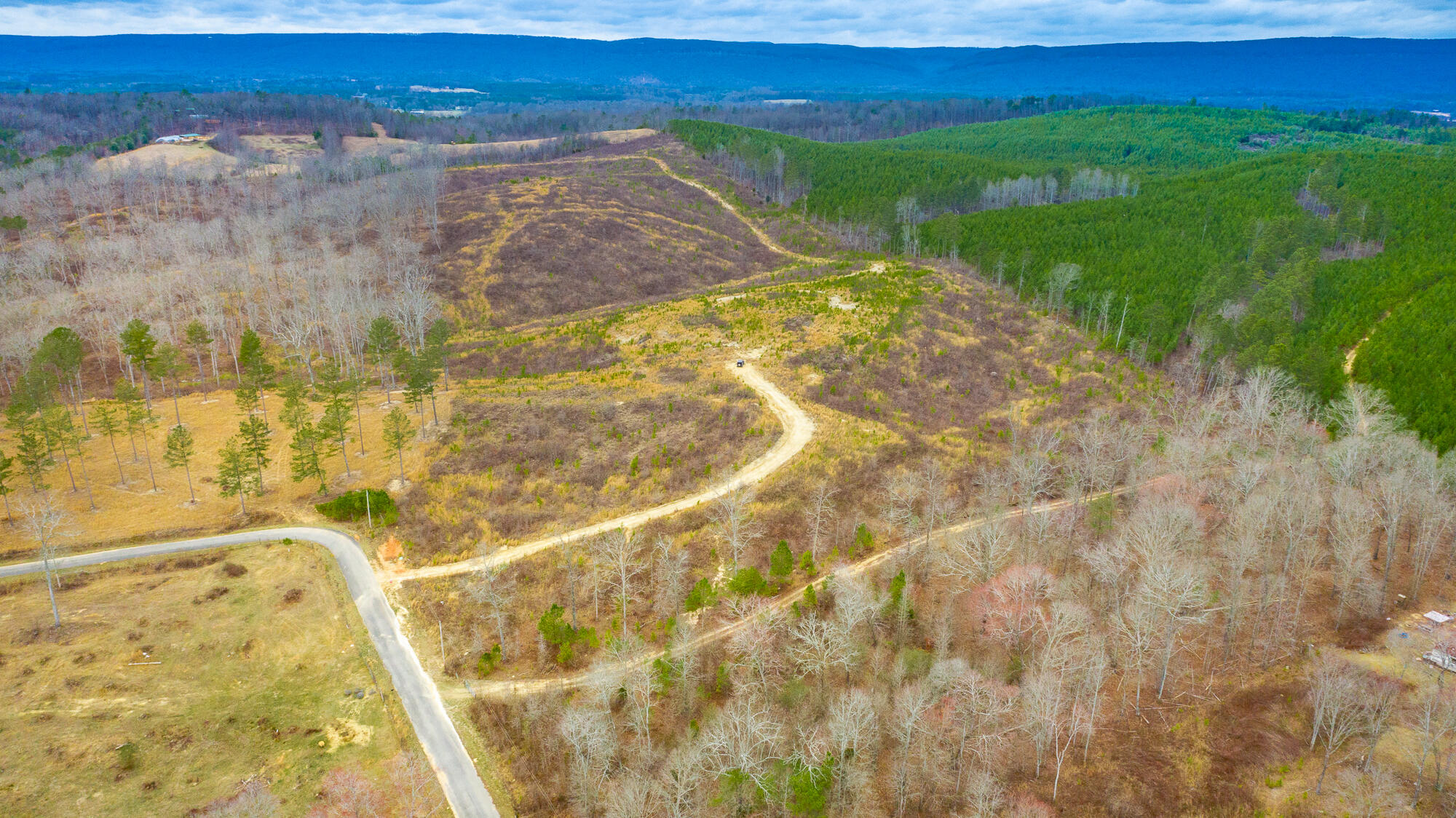 0 Nellie Lane Trion, GA 30753 - Photo 5 of 6 Nellie Lane Lot Exterior HD-0481