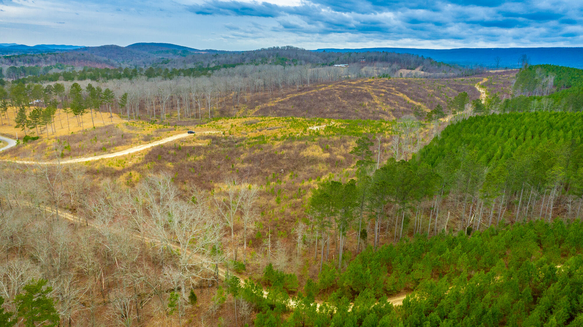 0 Nellie Lane Trion, GA 30753 - Photo 6 of 6 Nellie Lane Lot Exterior HD-0478