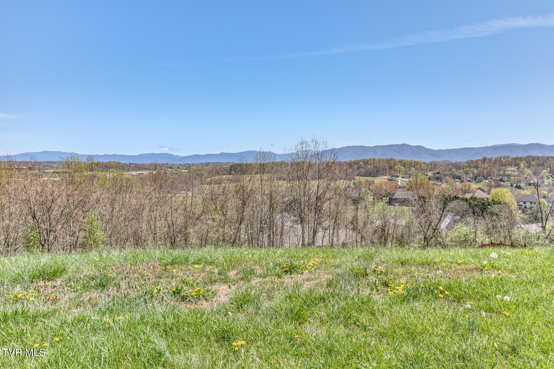 125 Simmons Ridge, Unit 8 Johnson City, TN 37604 - Photo 6 of 19 125 Simmons Ridge-6