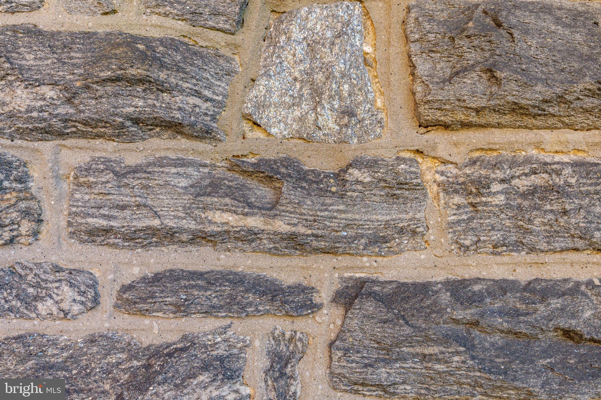 109-15 Carpenter Lane Philadelphia, PA 19119 - Photo 39 of 47 a view of a yard with wooden fence