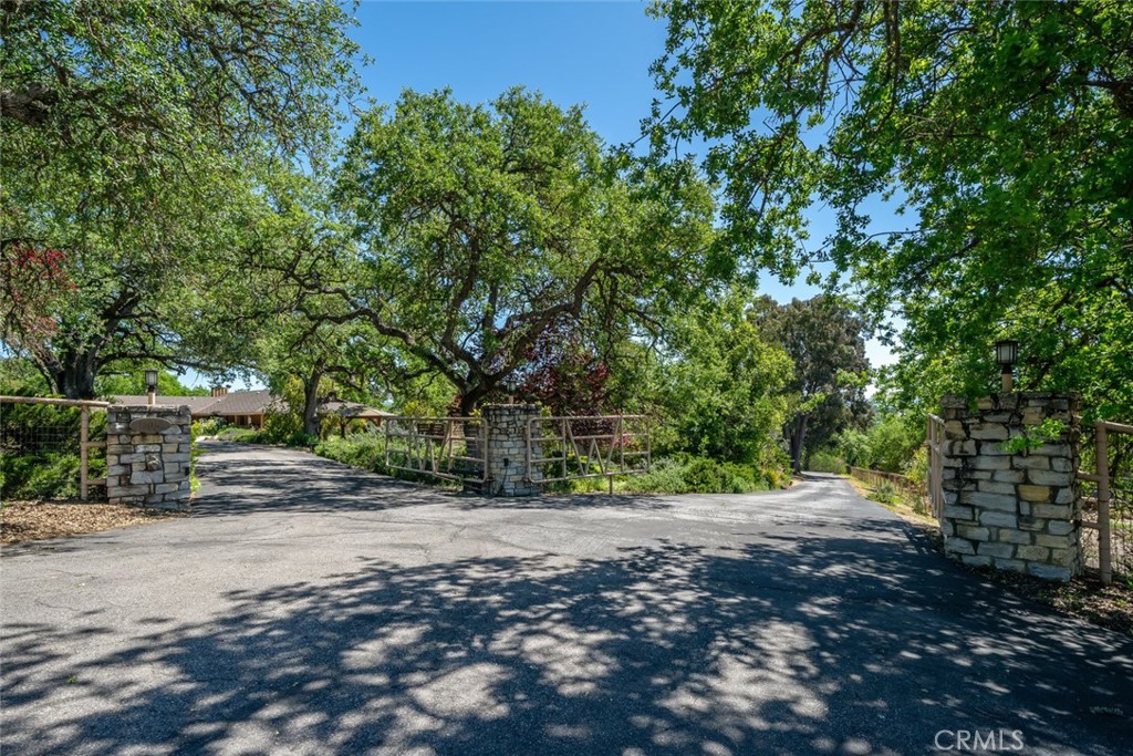 1105 Spanish Camp Road Paso Robles, CA 93446 - Photo 68 of 72 a view of a yard with plants and trees