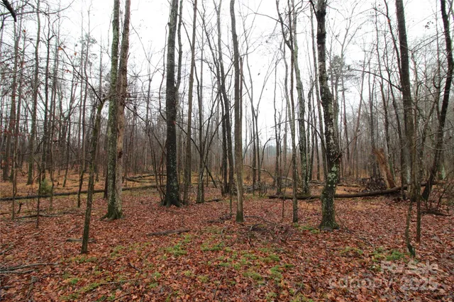 $80,000 | 4-ac Lot 3 4-ac Road, Bessemer City, NC 28016