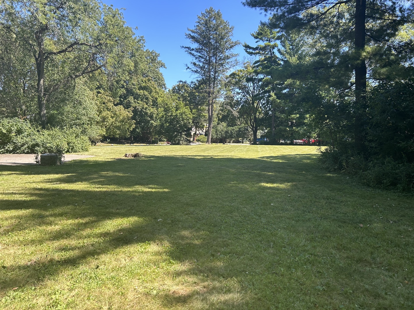 845 Appletree Lane Glenview, IL 60025 - Photo 3 of 4 a view of a large yard with a large trees