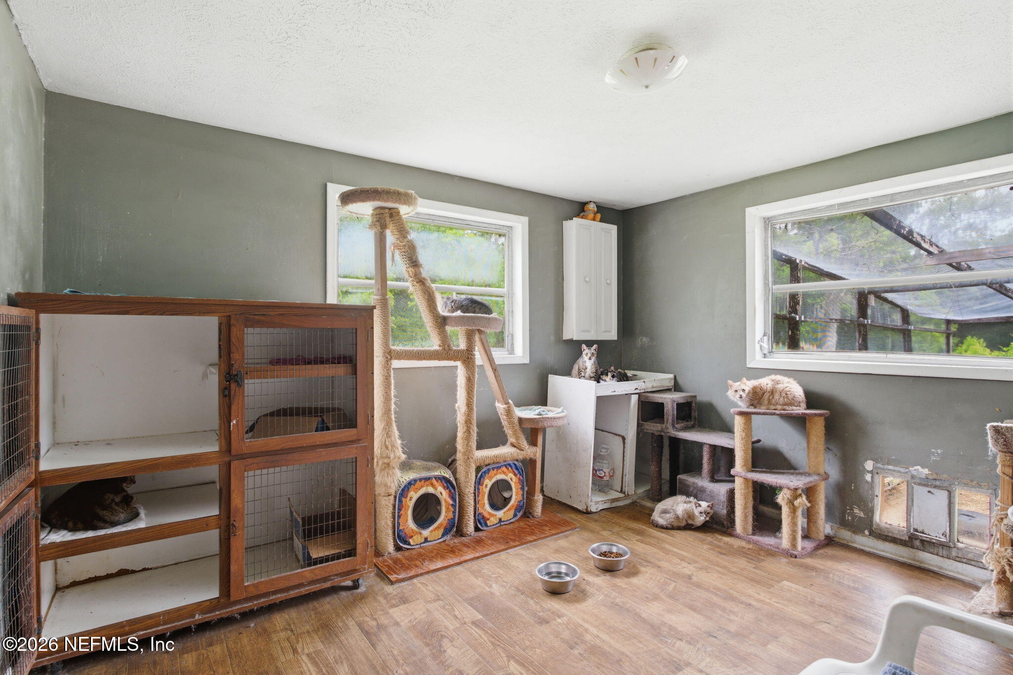 3027 Walter Road Jacksonville, FL 32254 - Photo 23 of 31 ISO_3027 Walter Rd_JAX_021
