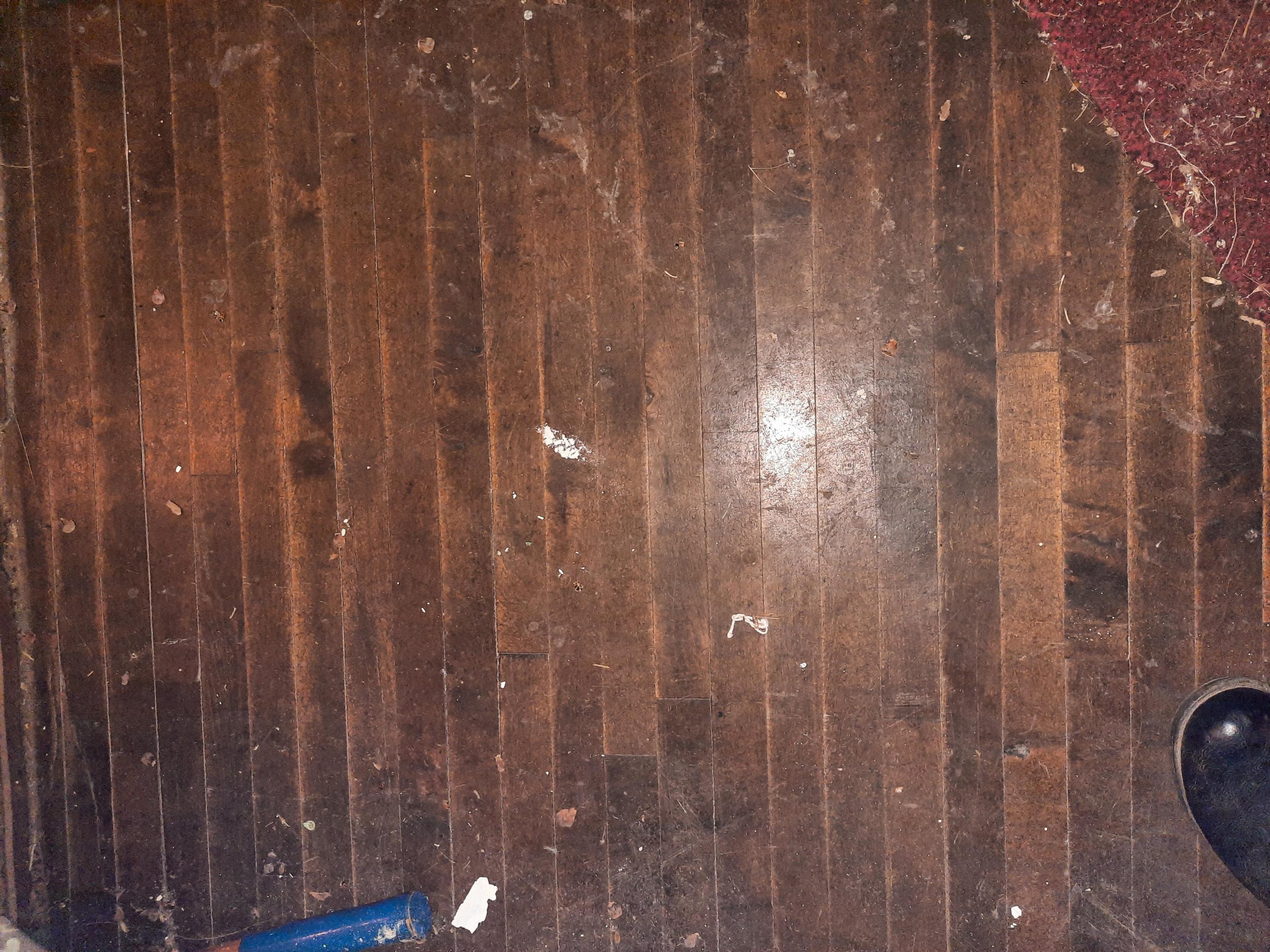 6086 Kerry Road Manistee, MI 49660 - Photo 21 of 48 hardwood floors