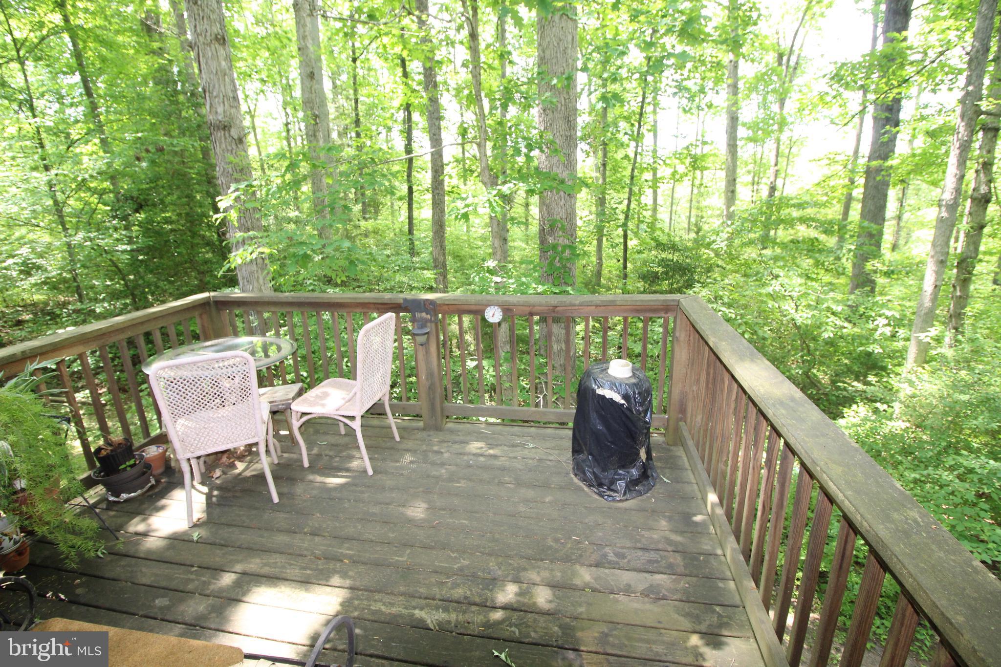 583 Little River Farms Road Bumpass, VA 23024 - Photo 27 of 32