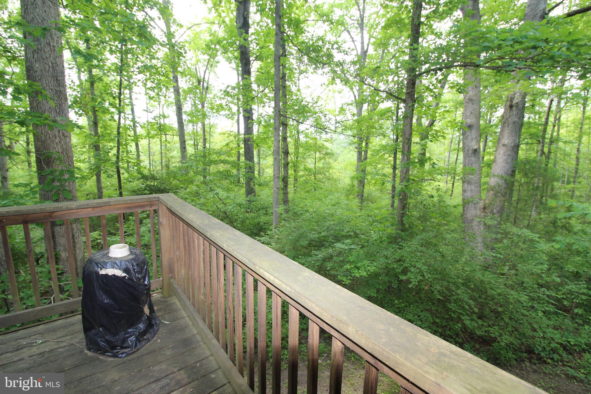 583 Little River Farms Road Bumpass, VA 23024 - Photo 28 of 32