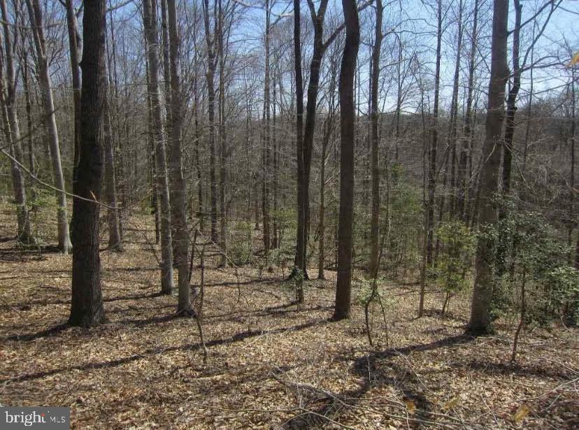 583 Little River Farms Road Bumpass, VA 23024 - Photo 31 of 32