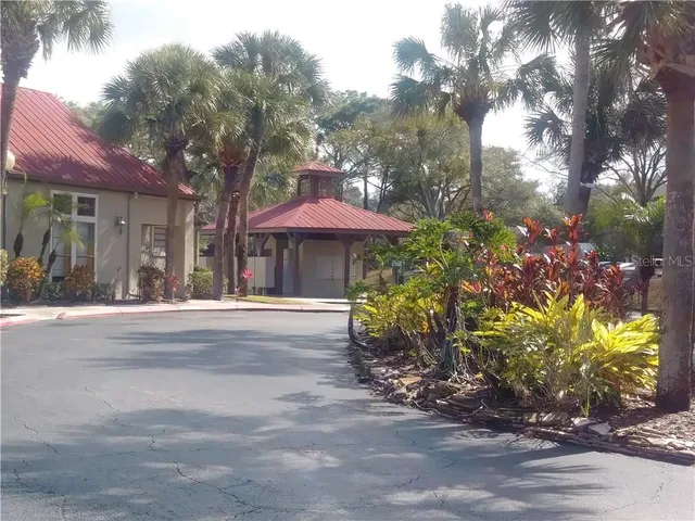 a front view of a house with a yard and tree s