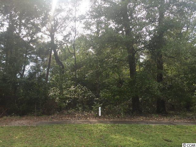 99 Middle Square Lane Georgetown, SC 29440 - Photo 1 of 3 Gallery Image 1