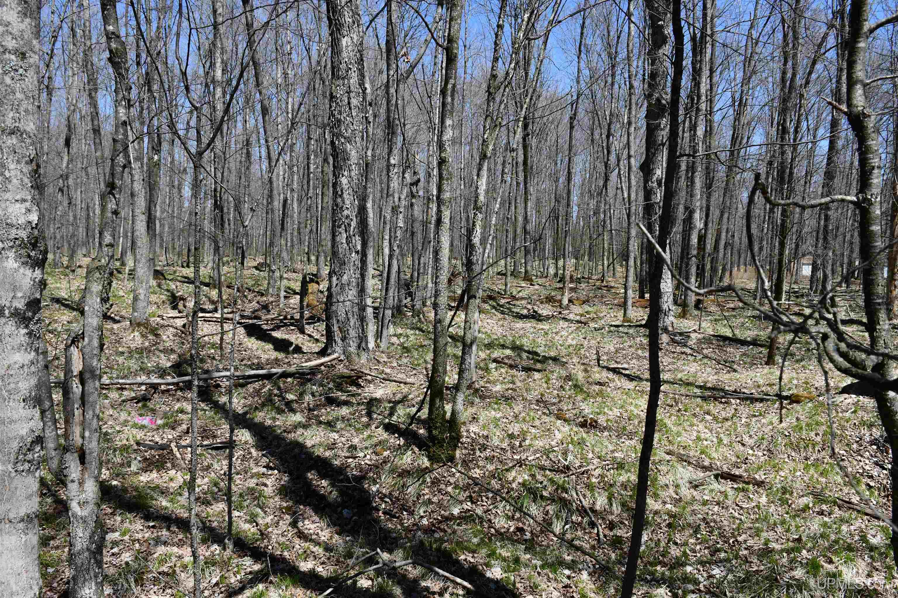 1456 Camp 5 Road Crystal Falls, MI 49920 - Photo 41 of 45 Gallery Image 41
