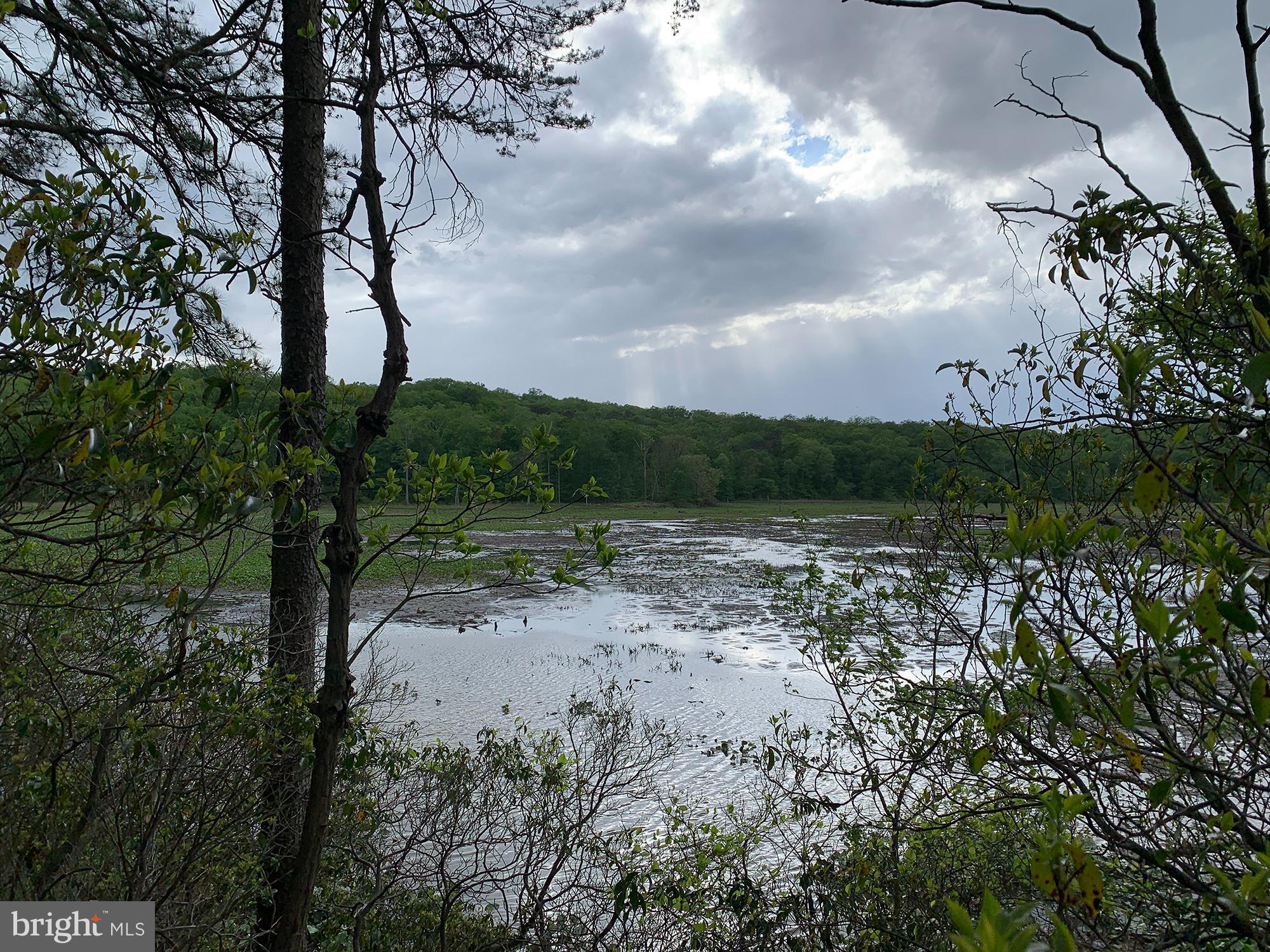 9303 Kendal Circle Laurel, MD 20723 - Photo 45 of 50 a view of a pathway with a yard