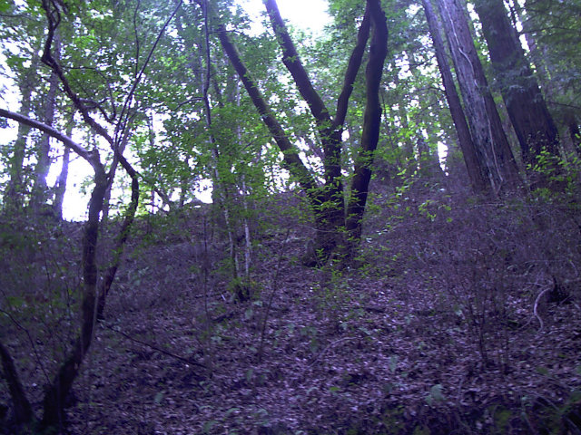 0 Ralston Ridge Road Boulder Creek, CA 95006 - Photo 1 of 4 Gallery Image 1