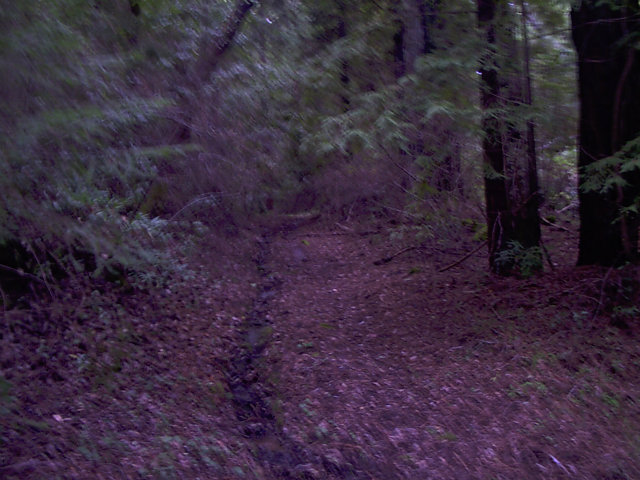 0 Ralston Ridge Road Boulder Creek, CA 95006 - Photo 3 of 4 Gallery Image 3