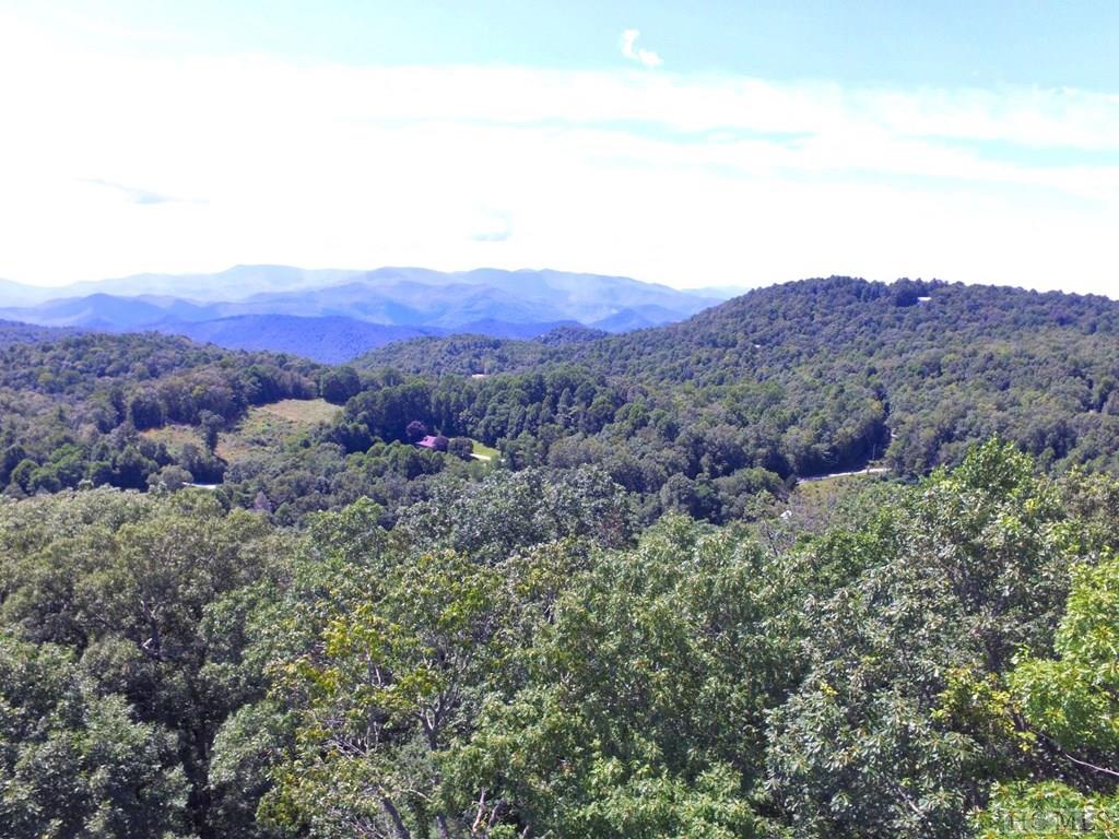8382 Dillard Road Scaly Mountain, NC 28775 - Photo 2 of 28 Gallery Image 2