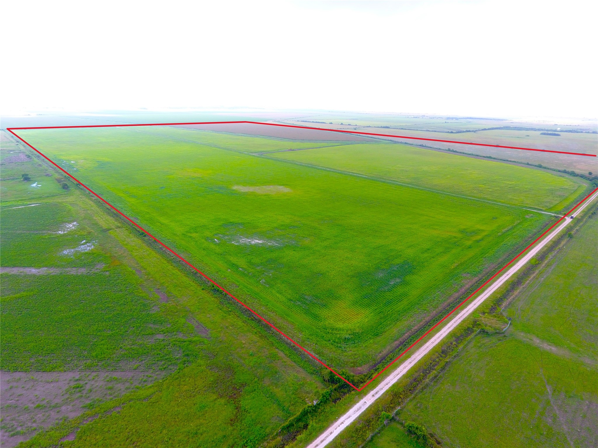 768 Million Dollar Road Palacios, TX 77465 - Photo 1 of 49