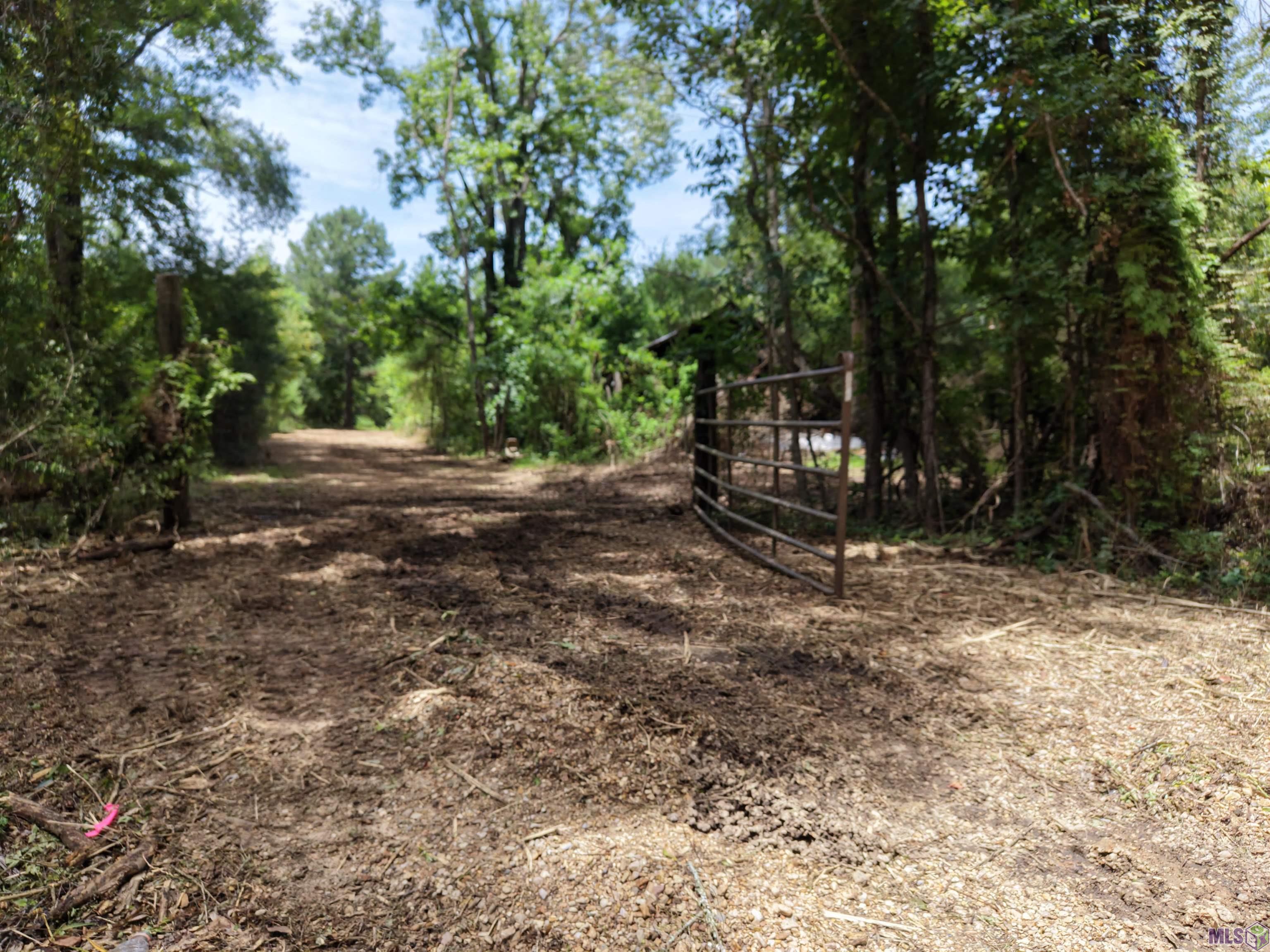 Tract A Jackson Road Amite, LA 70422 - Photo 6 of 10 Gallery Image 6