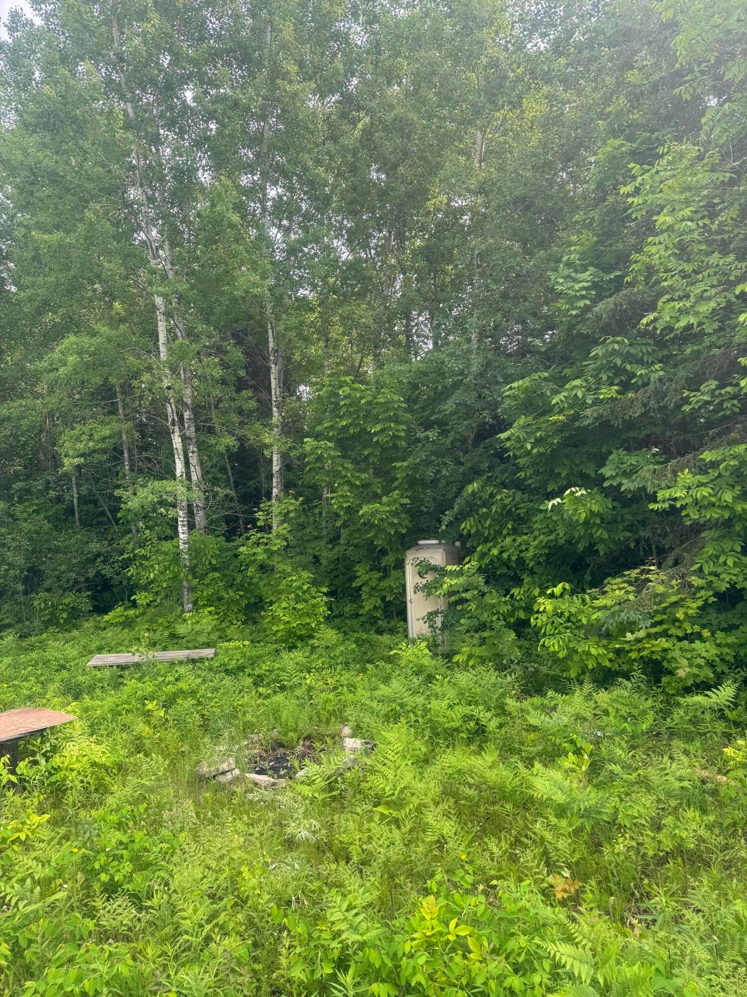 N4996 Ford Lake Road Germfask, MI 49836 - Photo 12 of 27 Gallery Image 12