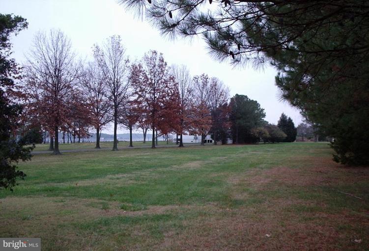 5301 Ross Neck Road Cambridge, MD 21613 - Photo 25 of 30 Tree-lined entry lane.