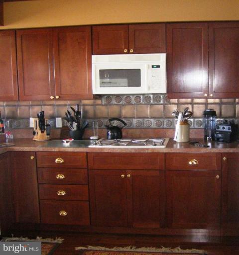 5301 Ross Neck Road Cambridge, MD 21613 - Photo 5 of 30 Cooking Area