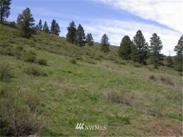 730 Low Road Cle Elum, WA 98922 - Photo 1 of 1 Gallery Image 1