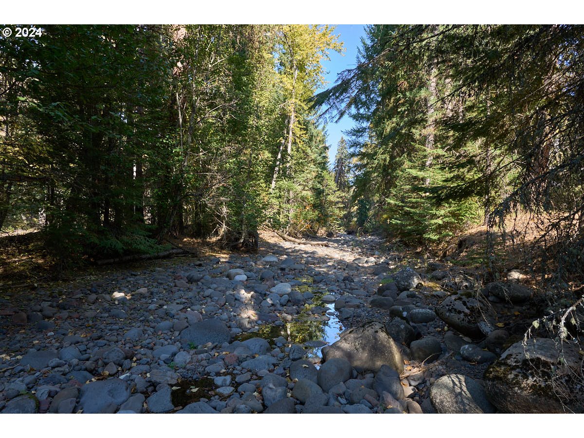 68020 Bear Creek Road Lostine, OR 97857 - Photo 15 of 27