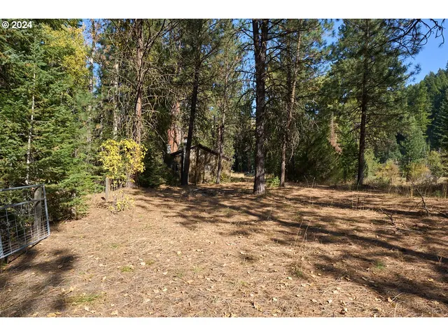 $165,000 | 68020 Bear Creek Road, Lostine, OR 97857
