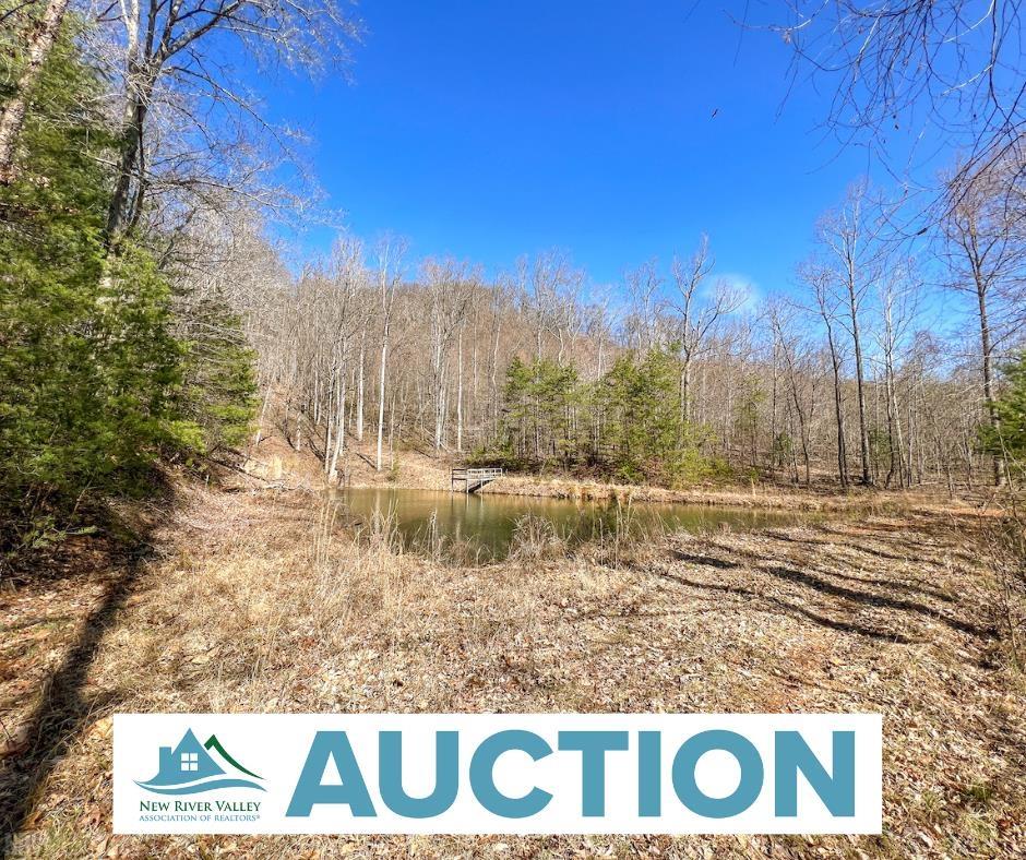 0 Brammer Spur Road Woolwine, VA 24185 - Photo 1 of 39 Gallery Image 1