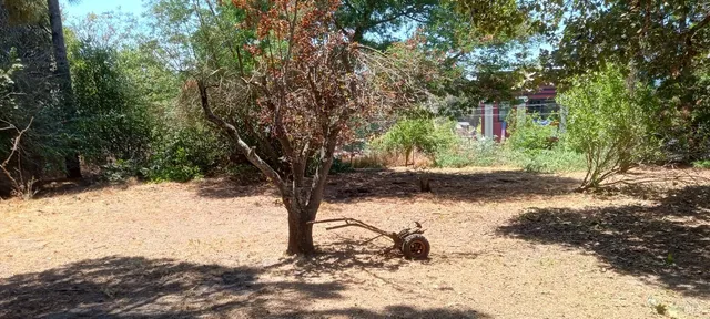 $450,000 | 9989 Oak Street, Penngrove, CA 94951