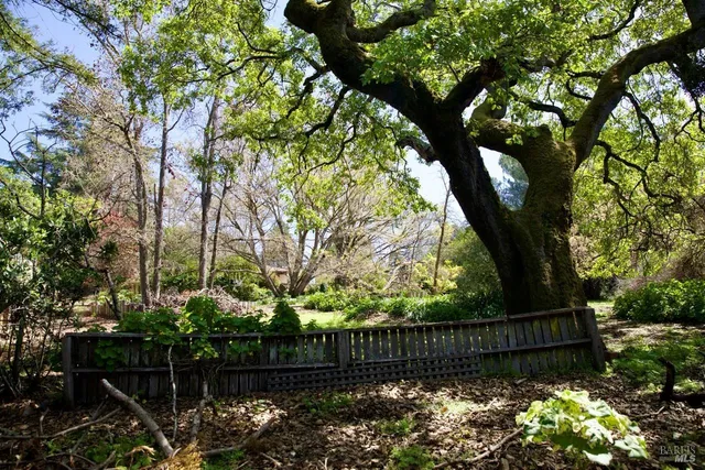 $450,000 | 9989 Oak Street, Penngrove, CA 94951