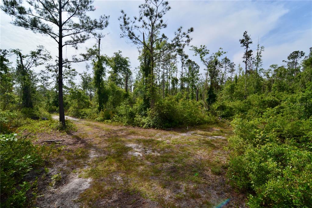 Island Road Mayo, FL 32066 - Photo 17 of 80