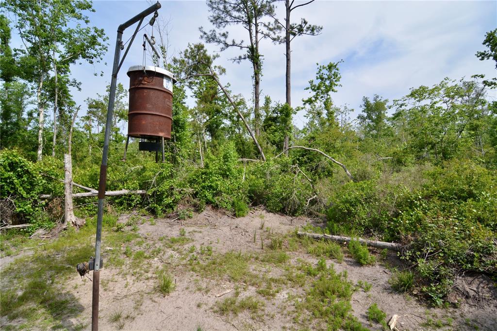 Island Road Mayo, FL 32066 - Photo 19 of 80