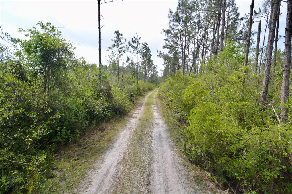 Island Road Mayo, FL 32066 - Photo 20 of 80