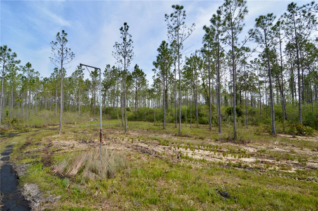 Island Road Mayo, FL 32066 - Photo 23 of 80