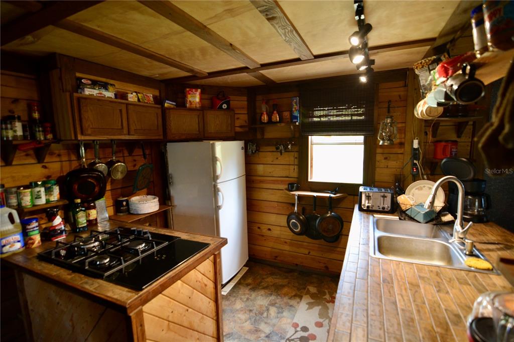 Island Road Mayo, FL 32066 - Photo 29 of 80