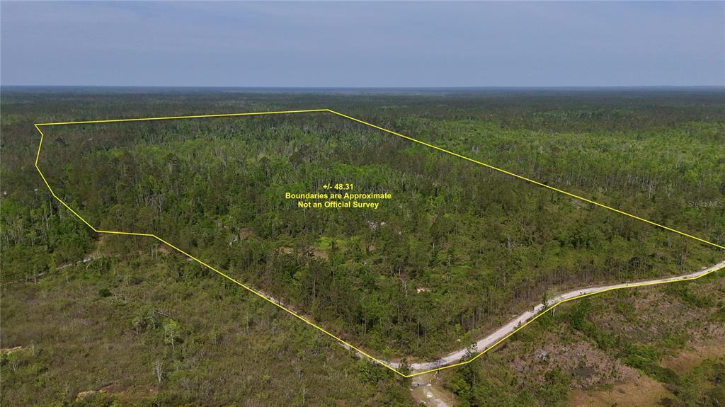 Island Road Mayo, FL 32066 - Photo 4 of 80