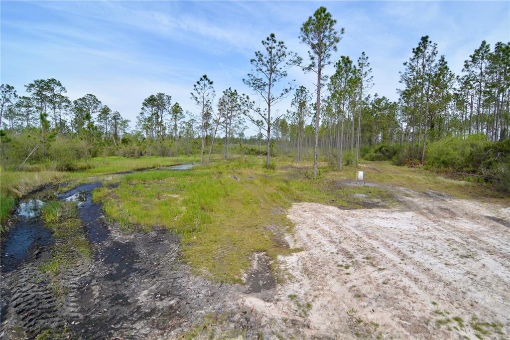 Island Road Mayo, FL 32066 - Photo 46 of 80