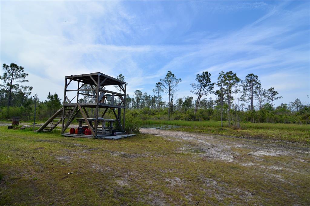 Island Road Mayo, FL 32066 - Photo 50 of 80