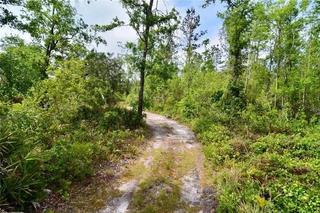 $275,000 | Island Road, Mayo, FL 32066