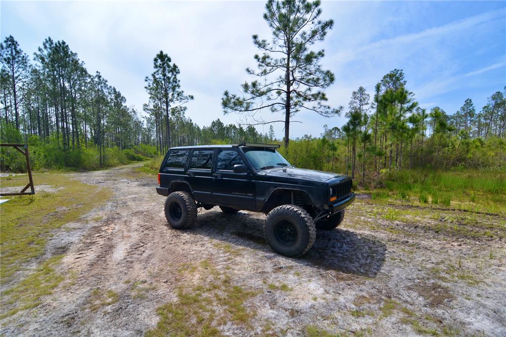 Island Road Mayo, FL 32066 - Photo 59 of 80