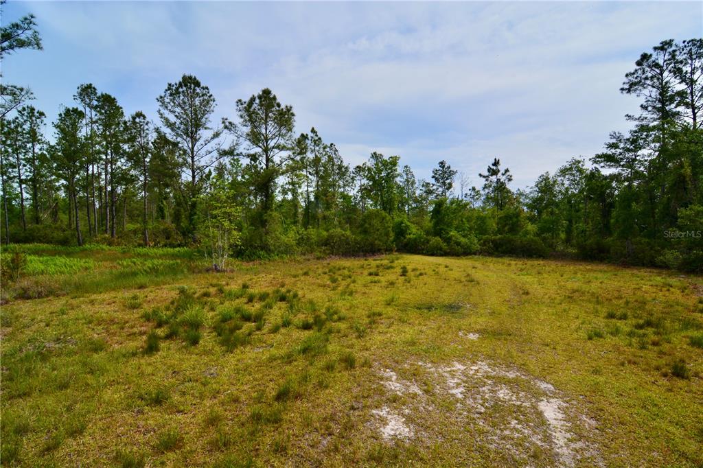 Island Road Mayo, FL 32066 - Photo 6 of 80