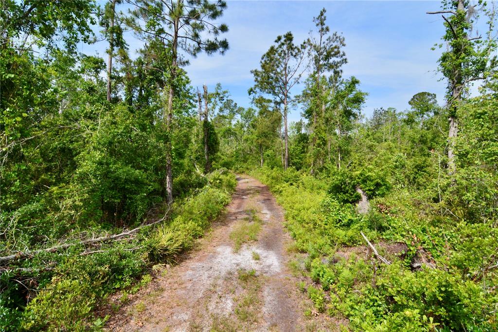 Island Road Mayo, FL 32066 - Photo 63 of 80