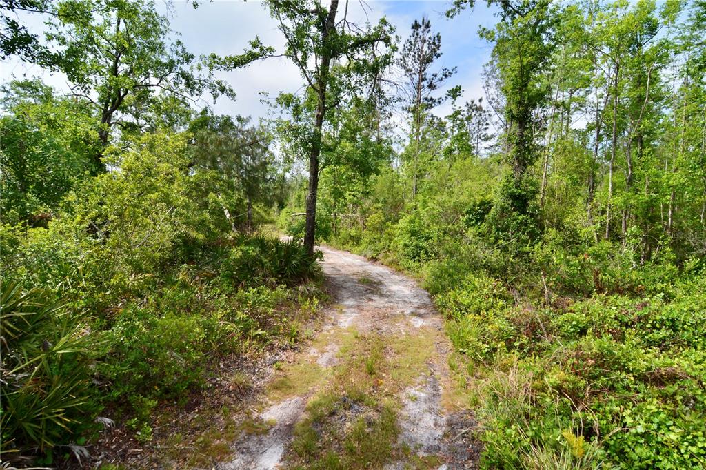 Island Road Mayo, FL 32066 - Photo 64 of 80