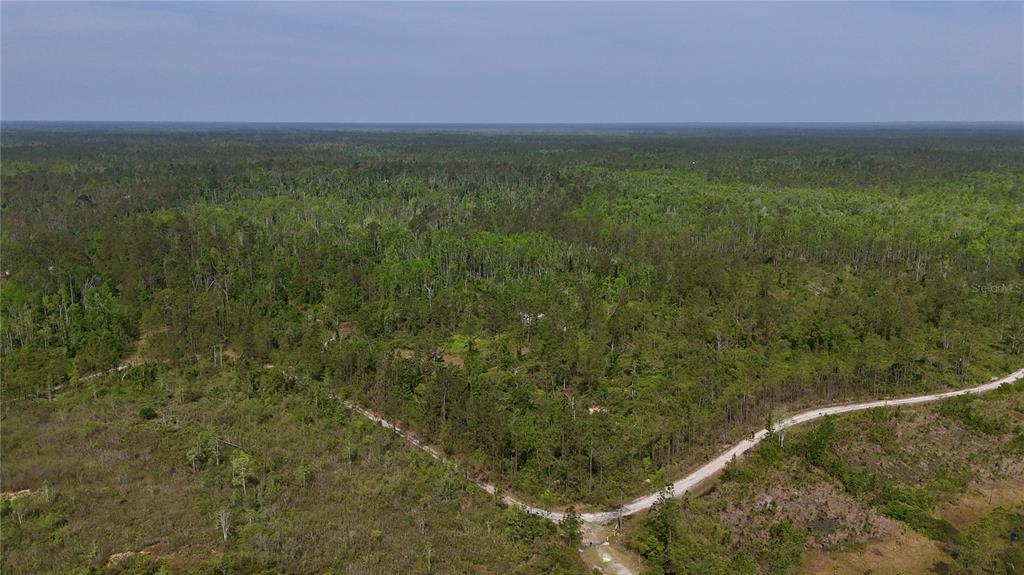 Island Road Mayo, FL 32066 - Photo 66 of 80