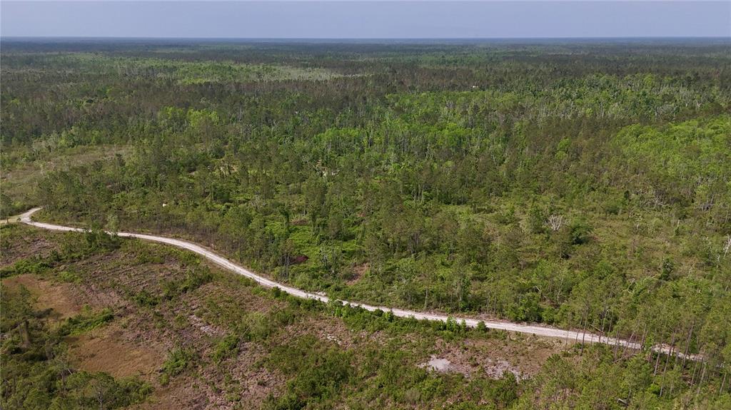 Island Road Mayo, FL 32066 - Photo 67 of 80