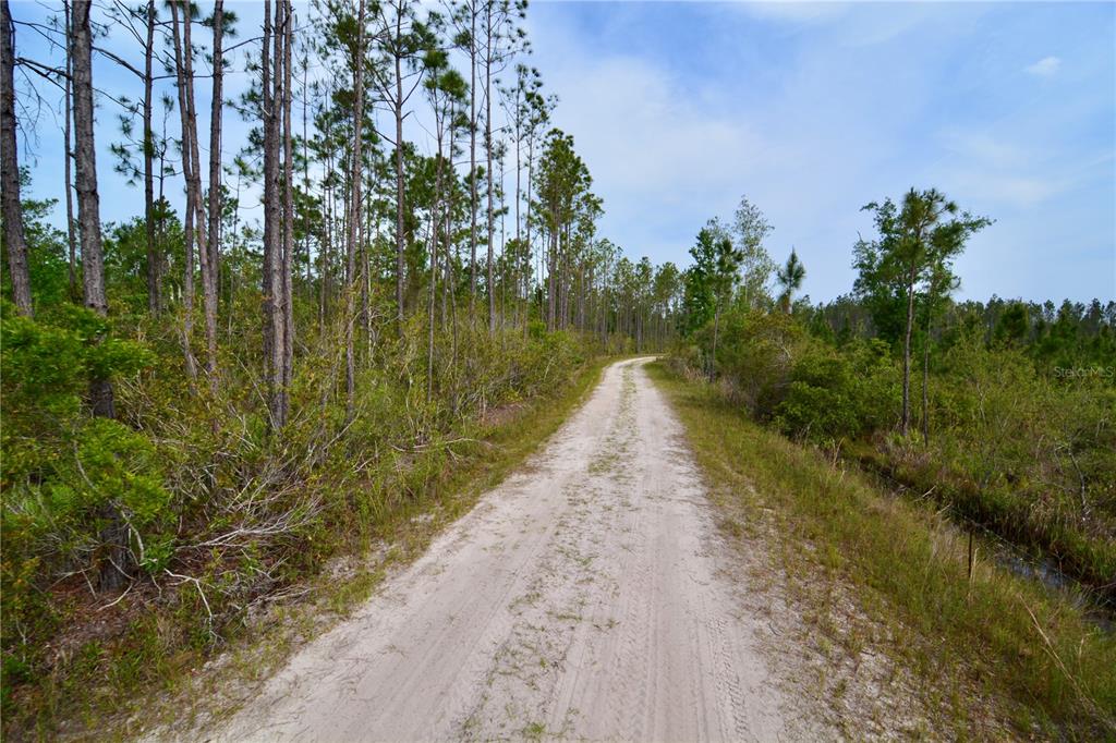 Island Road Mayo, FL 32066 - Photo 7 of 80