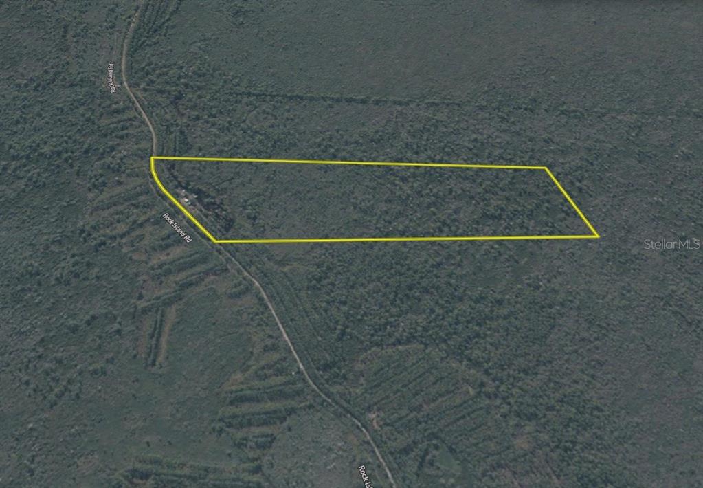 Island Road Mayo, FL 32066 - Photo 74 of 80